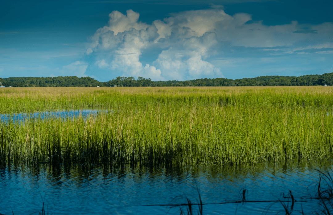 Mount Pleasant, SC, USA